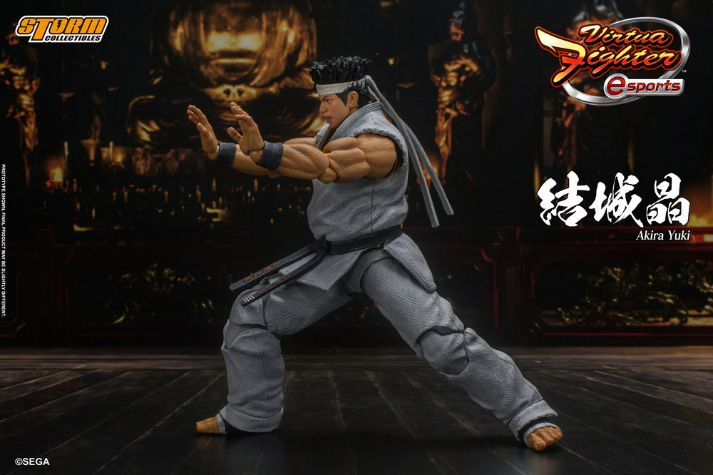 VIRTUA FIGHTER ESPORTS - AKIRA YUKI ACTION FIGURE | バーチャ
