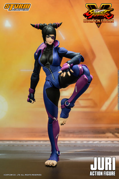 STREET FIGHTER V CHAMPION EDITION - JURI ACTION FIGURE | ストリートファイターV チャンピオンエディション アクションフィギュア ハン・ジュリ