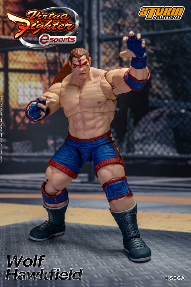 VIRTUA FIGHTER ESPORTS - WOLF HAWKFIELD ACTION FIGURE | バーチャファイター Eスポーツ アクションフィギュア ウルフ・ホークフィールド