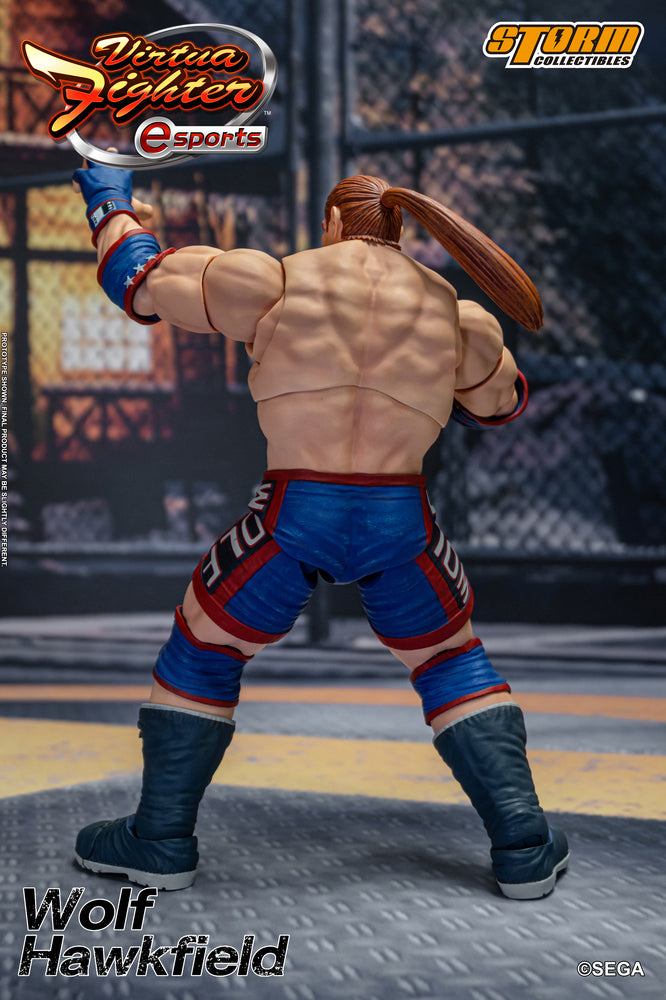 VIRTUA FIGHTER ESPORTS - WOLF HAWKFIELD ACTION FIGURE | バーチャファイター Eスポーツ アクションフィギュア ウルフ・ホークフィールド
