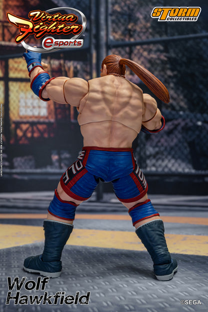 VIRTUA FIGHTER ESPORTS - WOLF HAWKFIELD ACTION FIGURE | バーチャファイター Eスポーツ アクションフィギュア ウルフ・ホークフィールド
