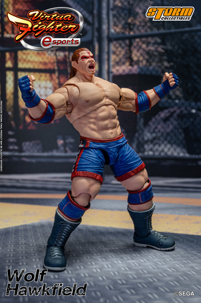 VIRTUA FIGHTER ESPORTS - WOLF HAWKFIELD ACTION FIGURE | バーチャファイター Eスポーツ アクションフィギュア ウルフ・ホークフィールド