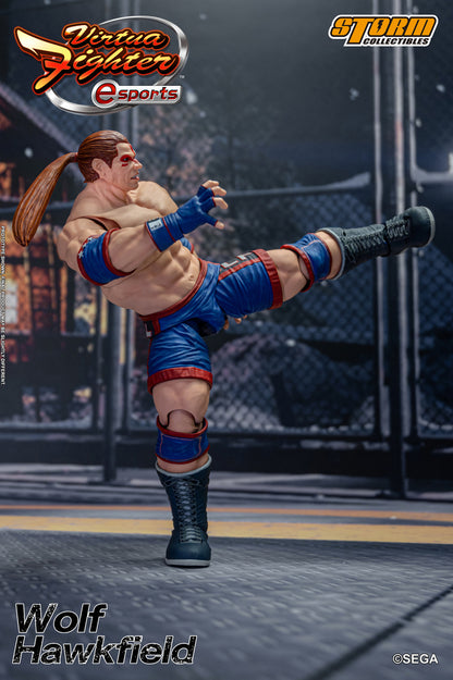 VIRTUA FIGHTER ESPORTS - WOLF HAWKFIELD ACTION FIGURE | バーチャファイター Eスポーツ アクションフィギュア ウルフ・ホークフィールド