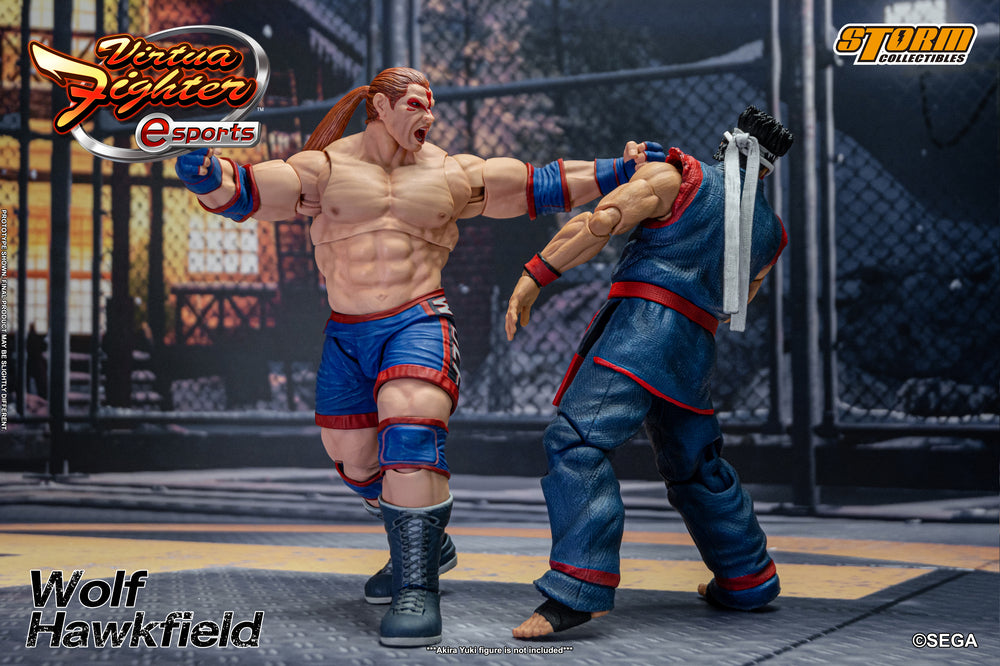 VIRTUA FIGHTER ESPORTS - WOLF HAWKFIELD ACTION FIGURE | バーチャファイター Eスポーツ アクションフィギュア ウルフ・ホークフィールド