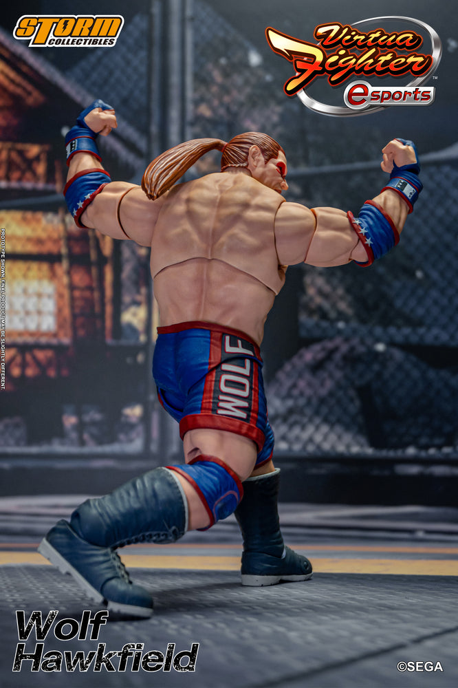 VIRTUA FIGHTER ESPORTS - WOLF HAWKFIELD ACTION FIGURE | バーチャファイター Eスポーツ アクションフィギュア ウルフ・ホークフィールド