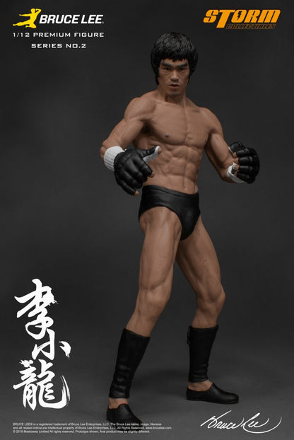 BRUCE LEE 1/12 SCALE PREMIUM FIGURE THE MARTIAL ARTIST - SERIES NO.2 | ブルース・リー 1/12 スケール プレミアム フィギュア シリーズ NO.2