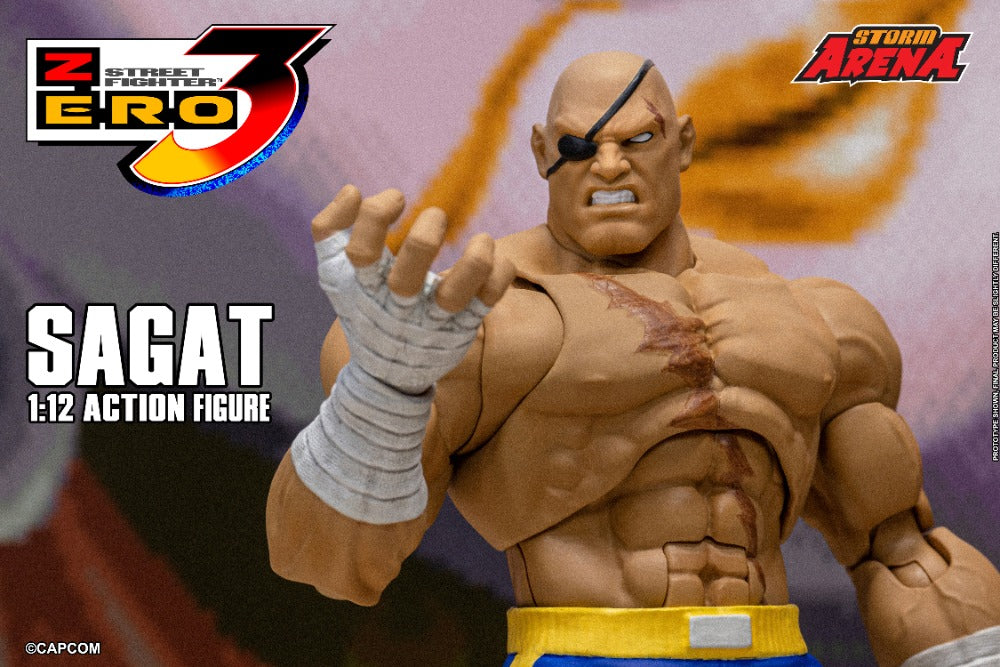 STREET FIGHTER ZERO 3 - SAGAT 1/12 ACTION FIGURE | ストーム
